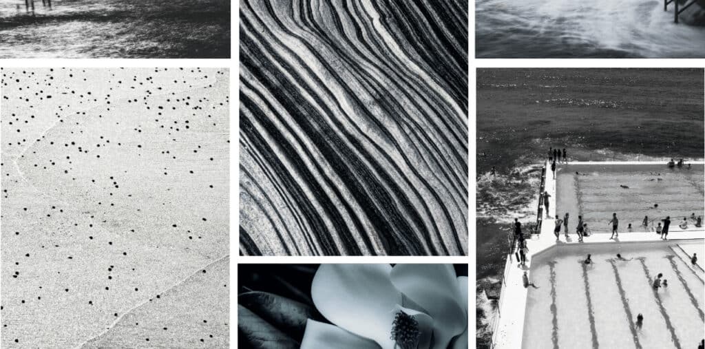 Black & White