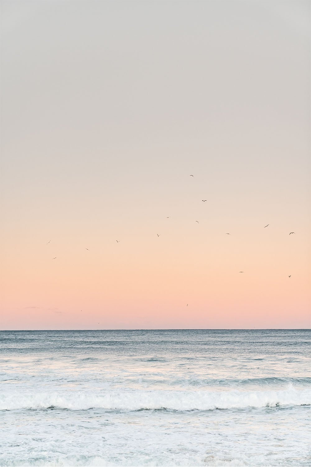 Flock