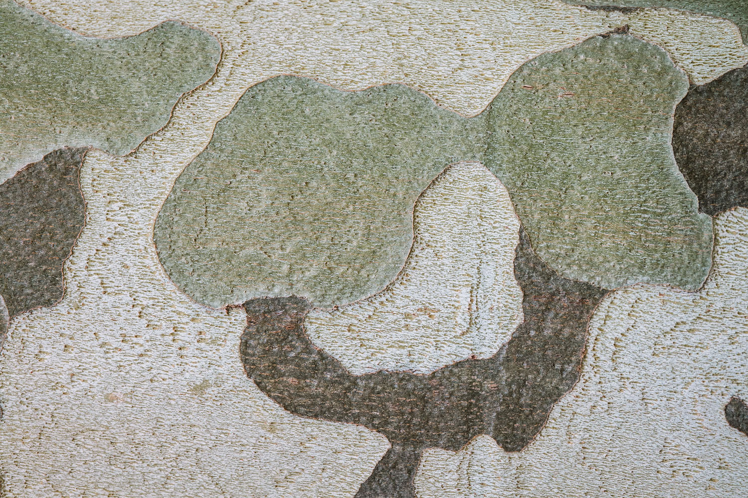 Camouflage