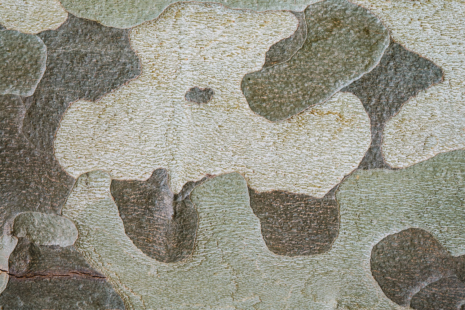 Camouflage