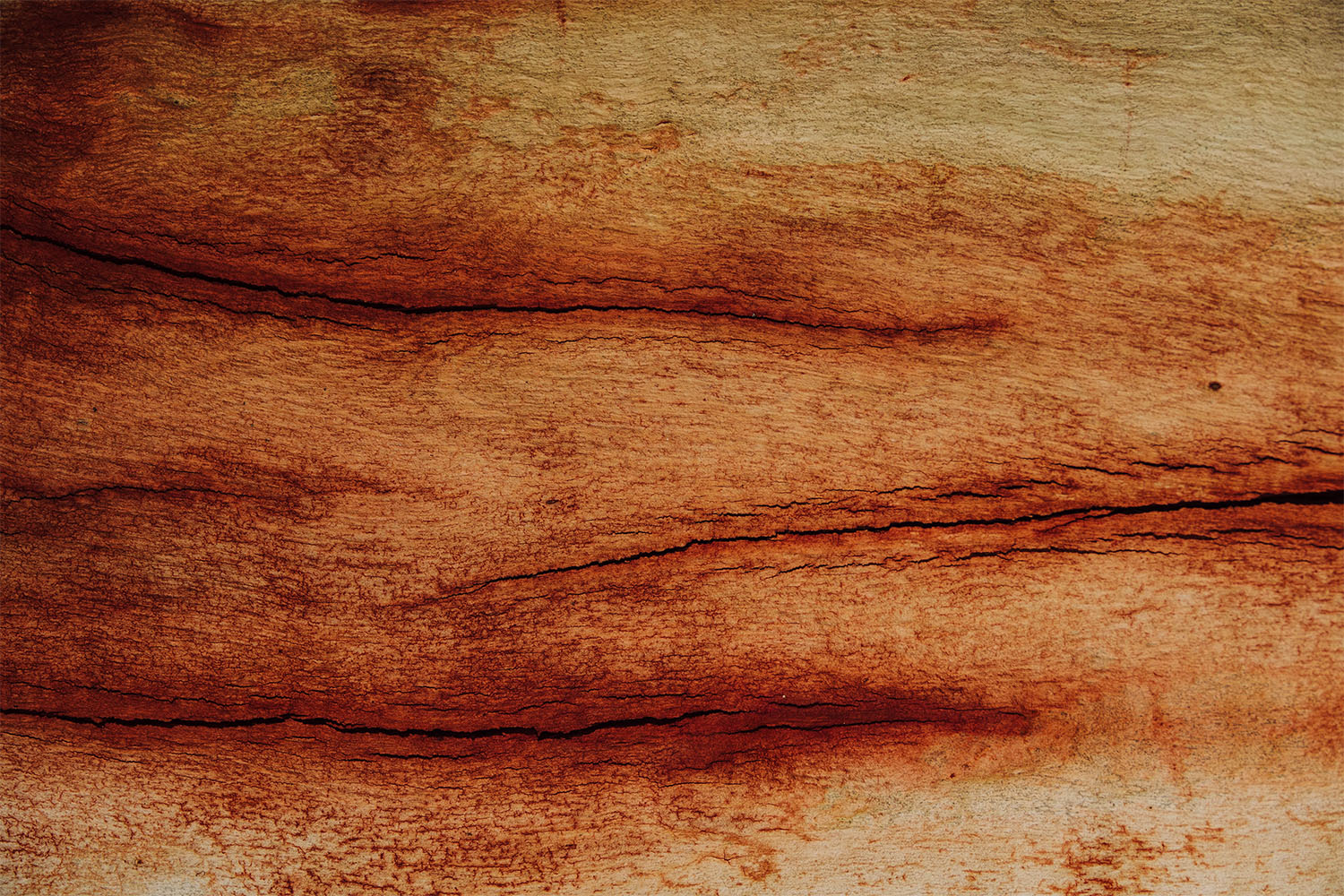 Firewood