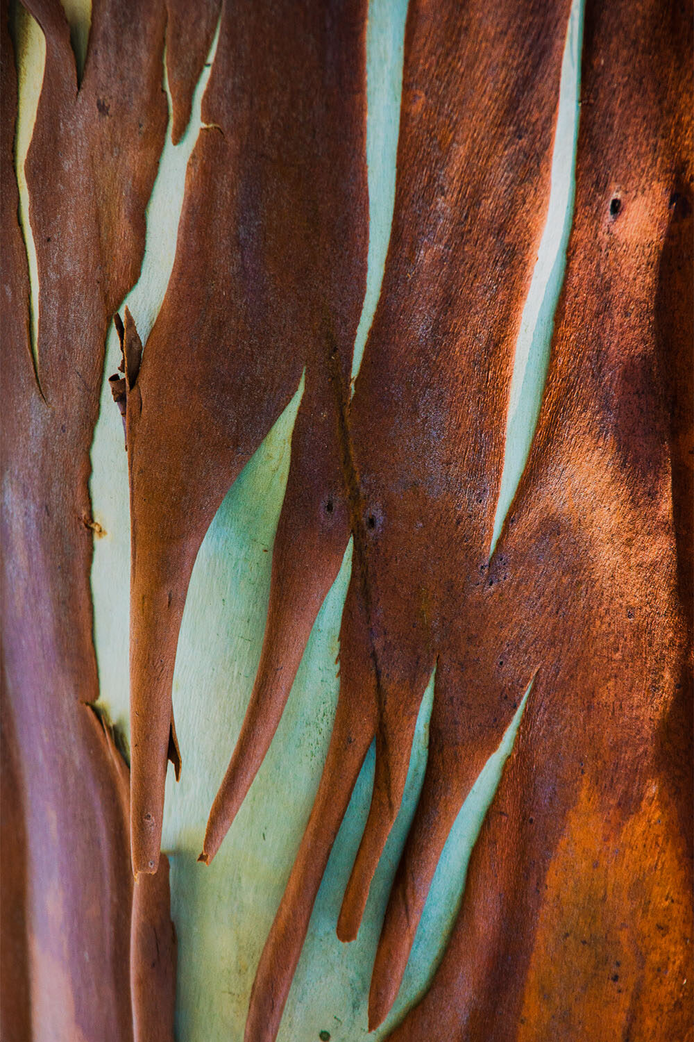 Peeling