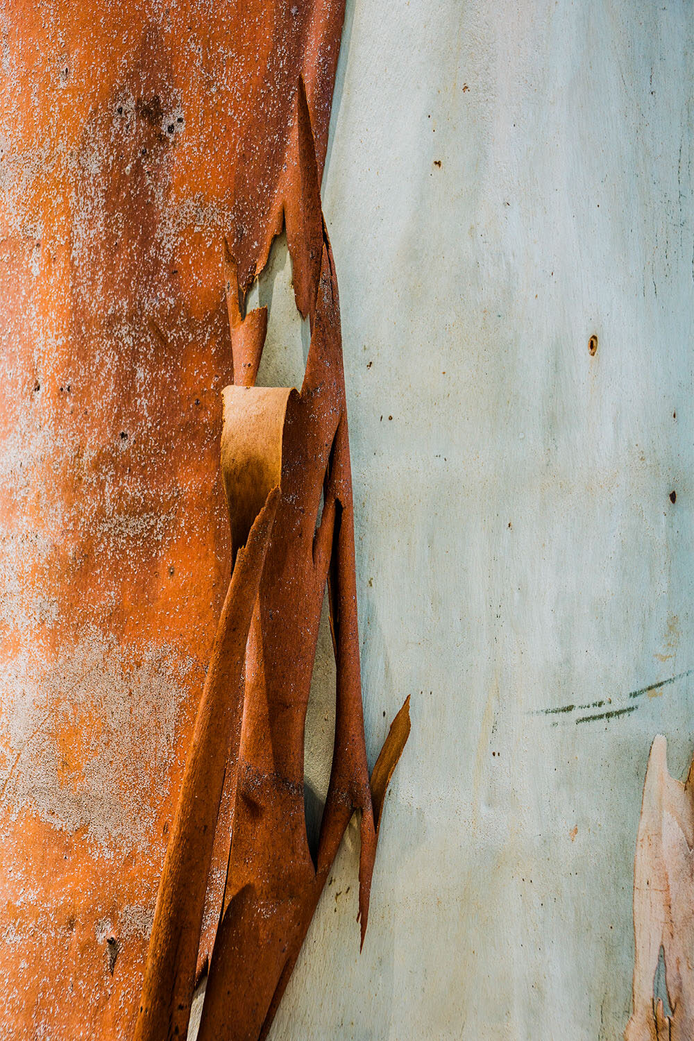 Peeling