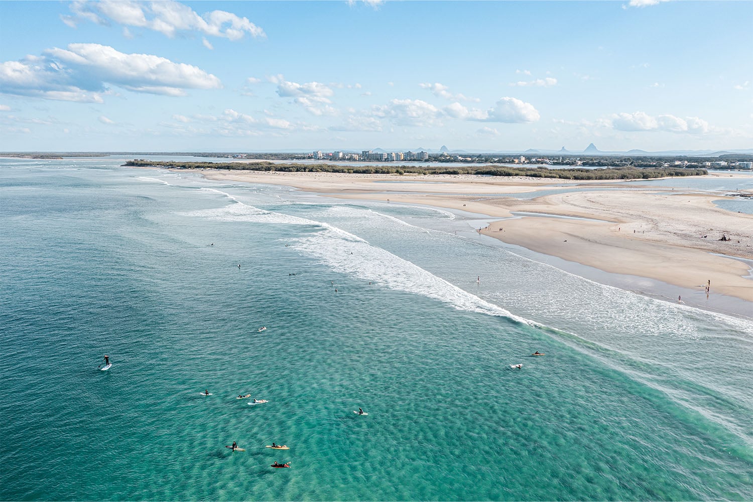 Bribie